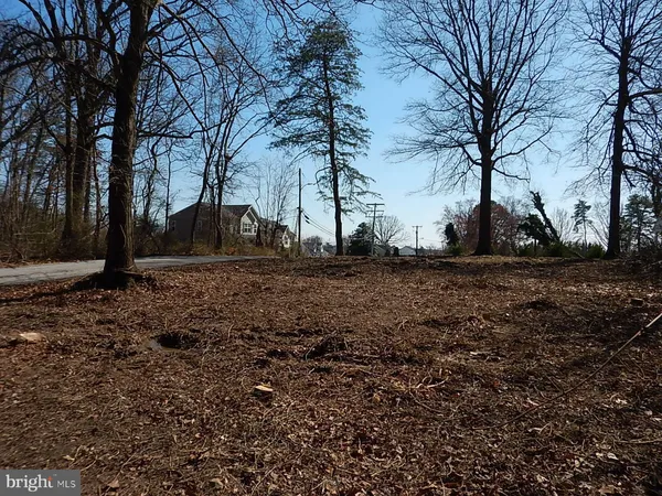 a view of backyard with green space