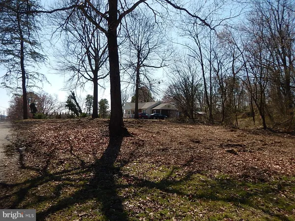 a view of outdoor space with lots of trees