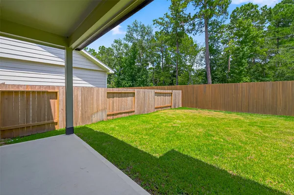 a view of a backyard with large trees and wooden fence