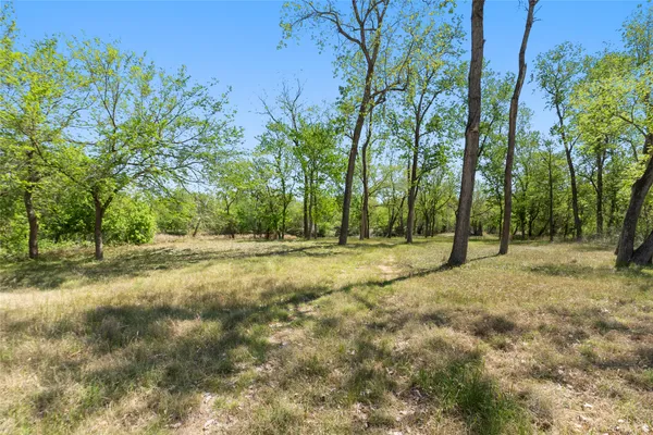 a view of outdoor space with trees