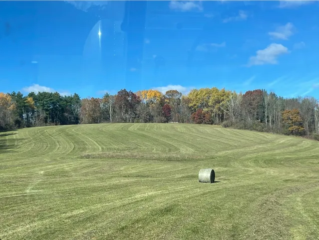 a view of a field with an trees
