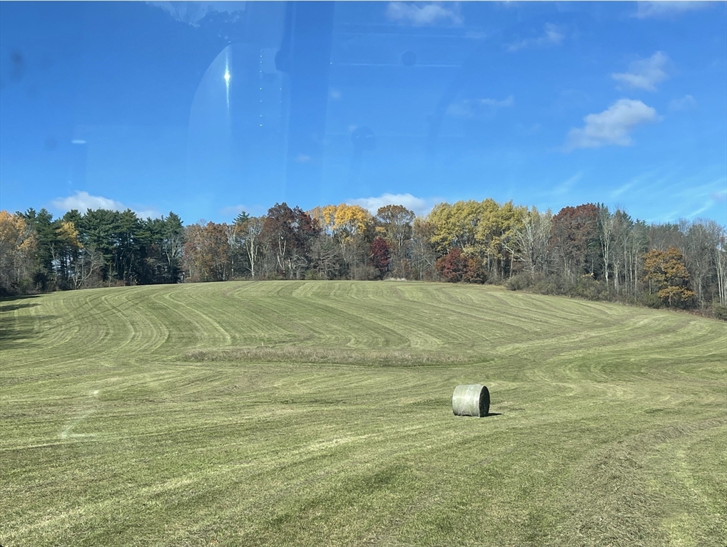 a view of a field with an trees