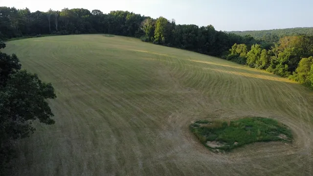 a view of a field with an ocean