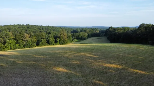 a view of a field with an trees