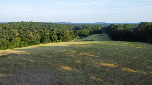 a view of a field with an ocean