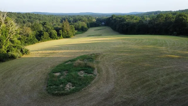 a view of a field with an ocean