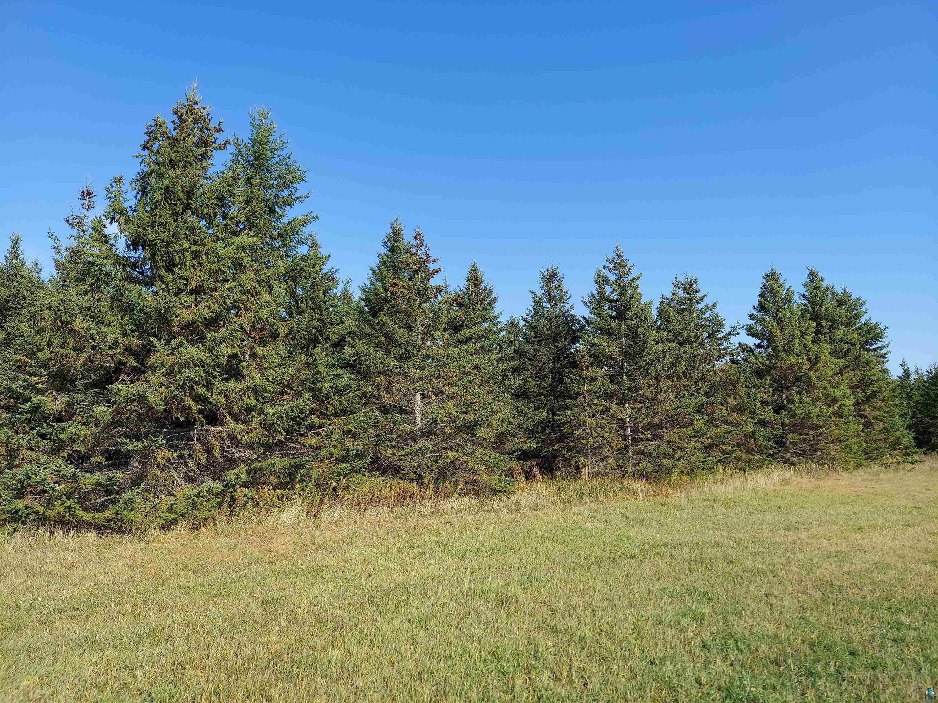 0 Tody Road Mason, WI 54856 - Photo 1 of 10
