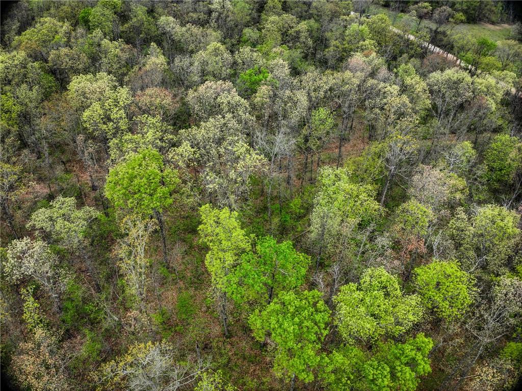 Lot 2 South 725 Road Stockton, MO 65785 - Photo 45 of 48