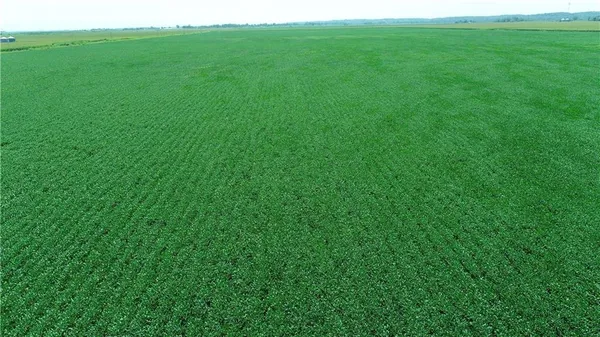 $955,500 | 1 Amber Drive, Craig, MO 64437