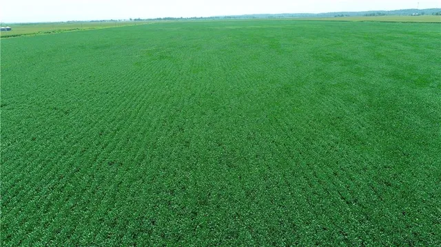 $955,500 | 1 Amber Drive, Craig, MO 64437