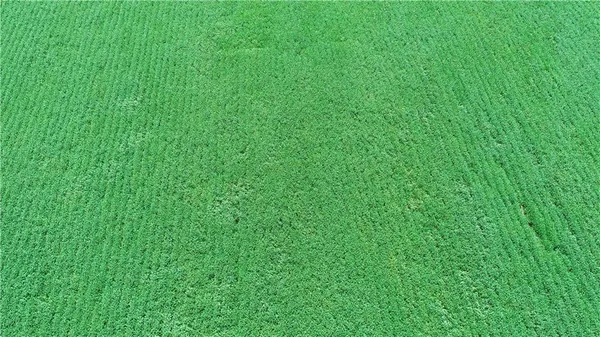 $955,500 | 1 Amber Drive, Craig, MO 64437