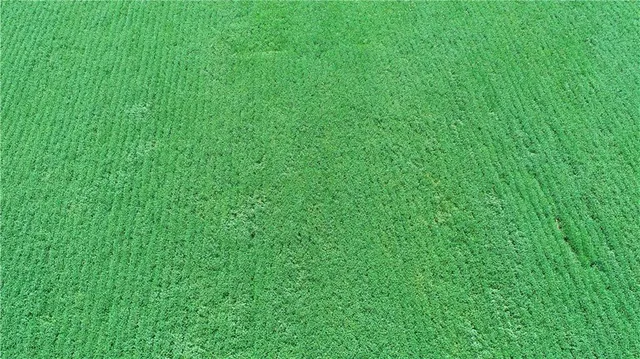 $955,500 | 1 Amber Drive, Craig, MO 64437