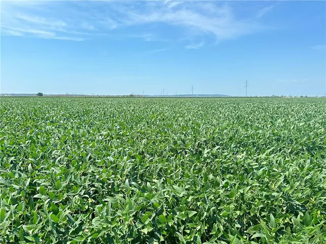 $955,500 | 1 Amber Drive, Craig, MO 64437