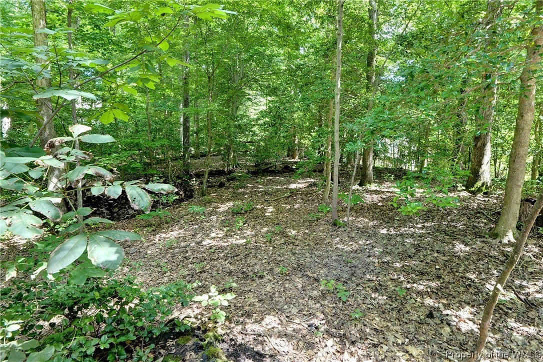 125 Hempstead Road Williamsburg, VA 23188 - Photo 25 of 33 Gallery Image 25