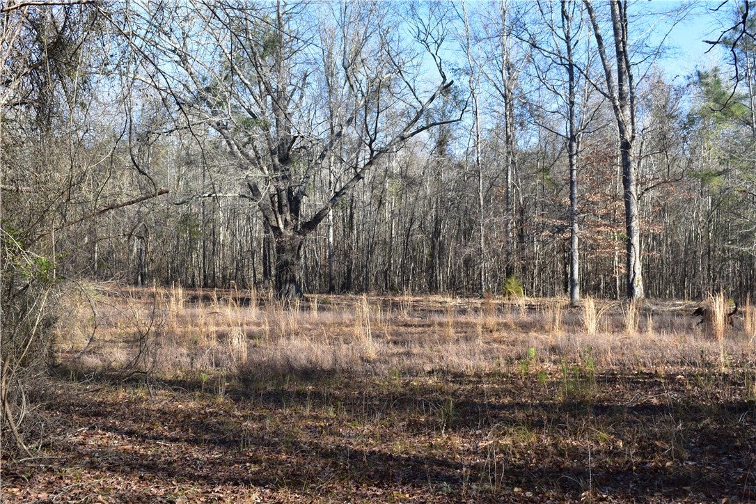 0 Double Bridge Ferry Road Eclectic, AL 36024 - Photo 4 of 11 Gallery Image 4