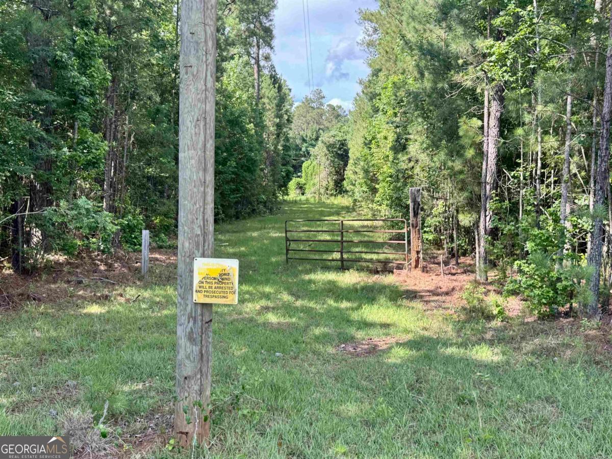 0 Springfield / Turner Road Union Point, GA 30669 - Photo 5 of 34
