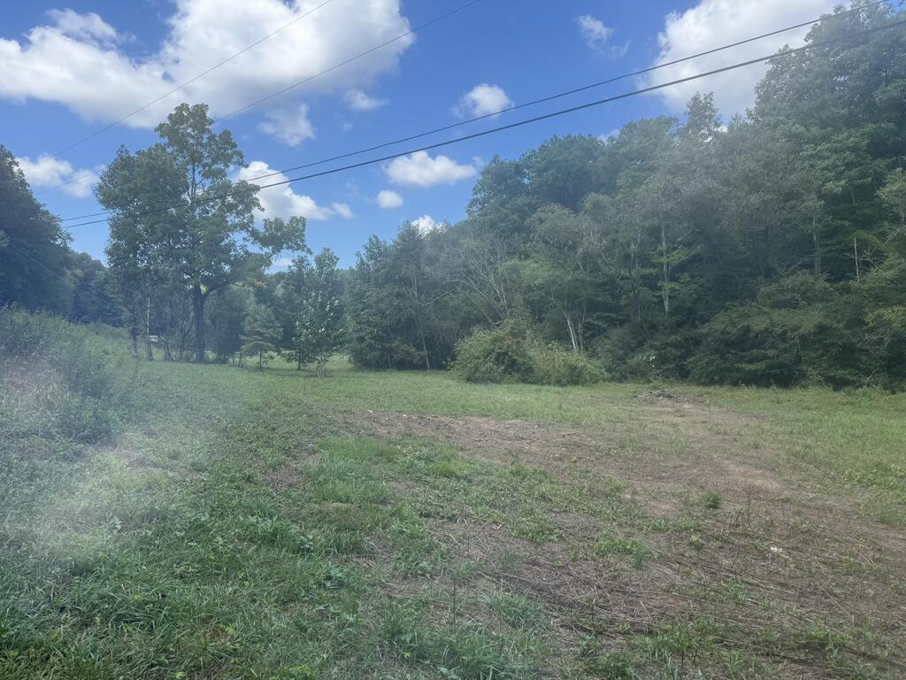 2231 Camp Creek Road Murphy, NC 28906 - Photo 10 of 18 Gallery Image 10