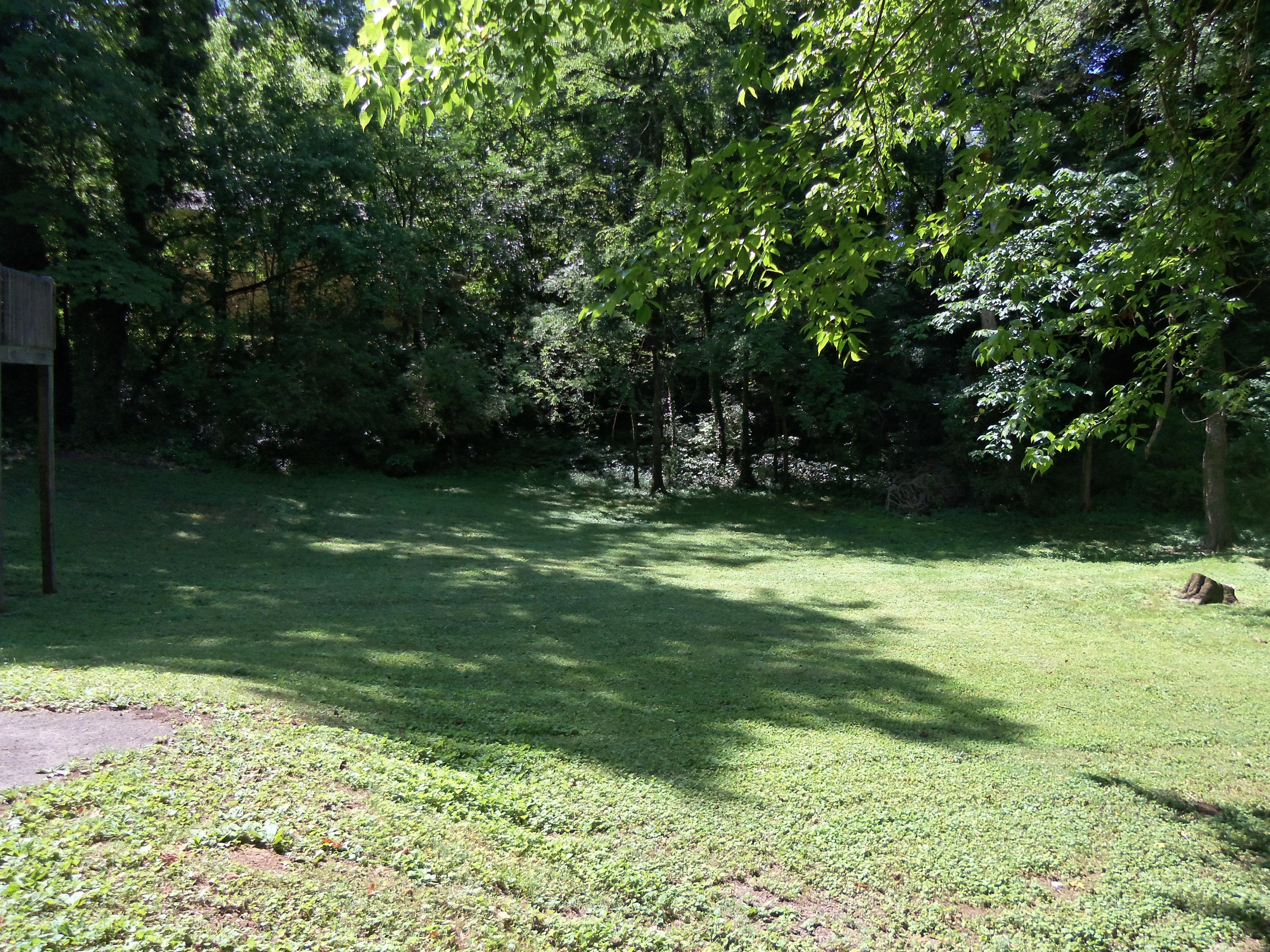 6019 Magazine Road Knoxville, TN 37920 - Photo 5 of 5 Magazine DiFranco Home Team Backyard