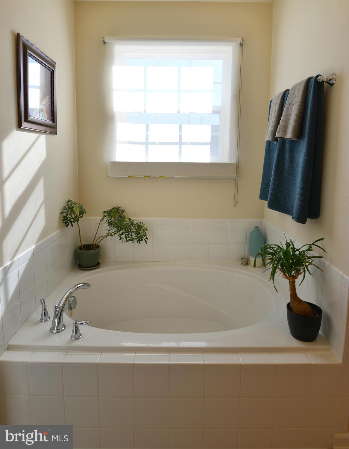 1197 Bradley Road Severn, MD 21144 - Photo 23 of 30 Bath(Master)-ahhh! feel the stress leave your body