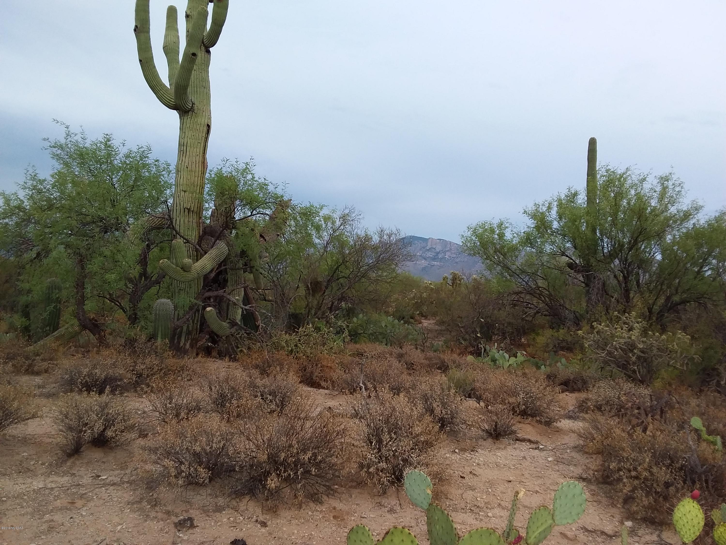 2315 West Tangerine Road Tucson, AZ 85742 - Photo 6 of 27
