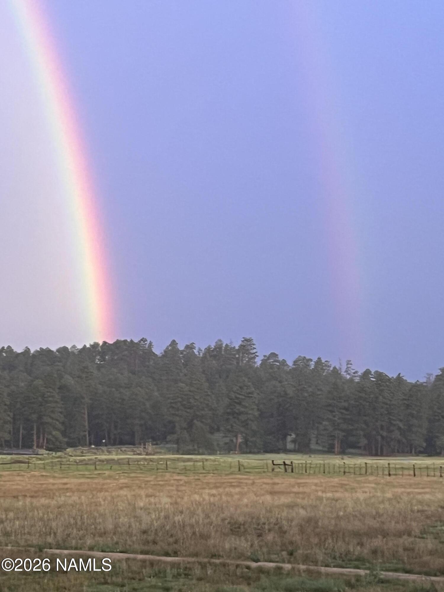 39291 Lake Mary Road Happy Jack, AZ 86024 - Photo 24 of 54 IMG_3066