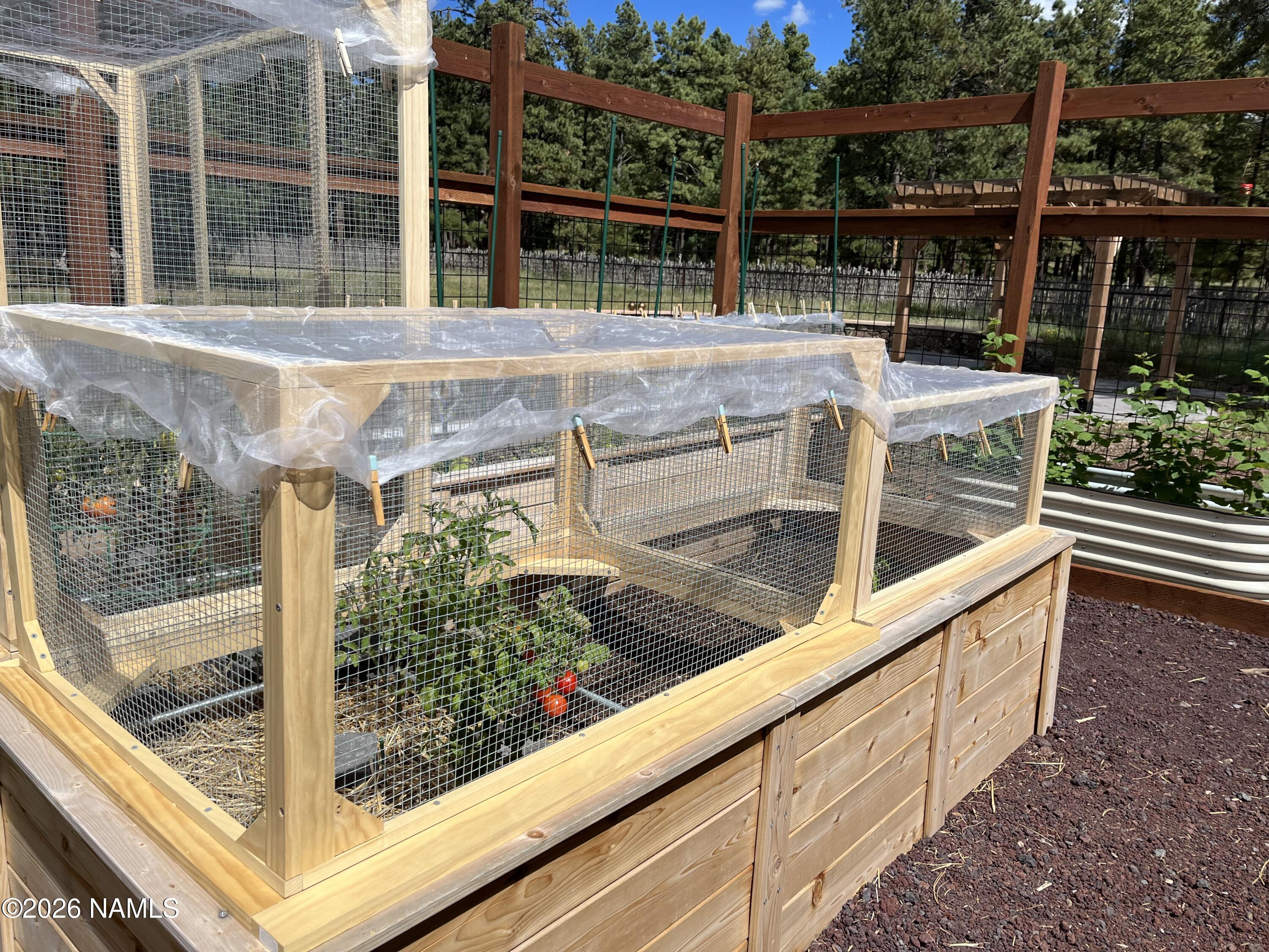 39291 Lake Mary Road Happy Jack, AZ 86024 - Photo 28 of 54 IMG_2323