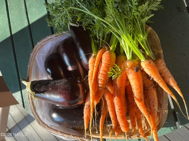 $1,450,000 | 39291 Lake Mary Road, Happy Jack, AZ 86024