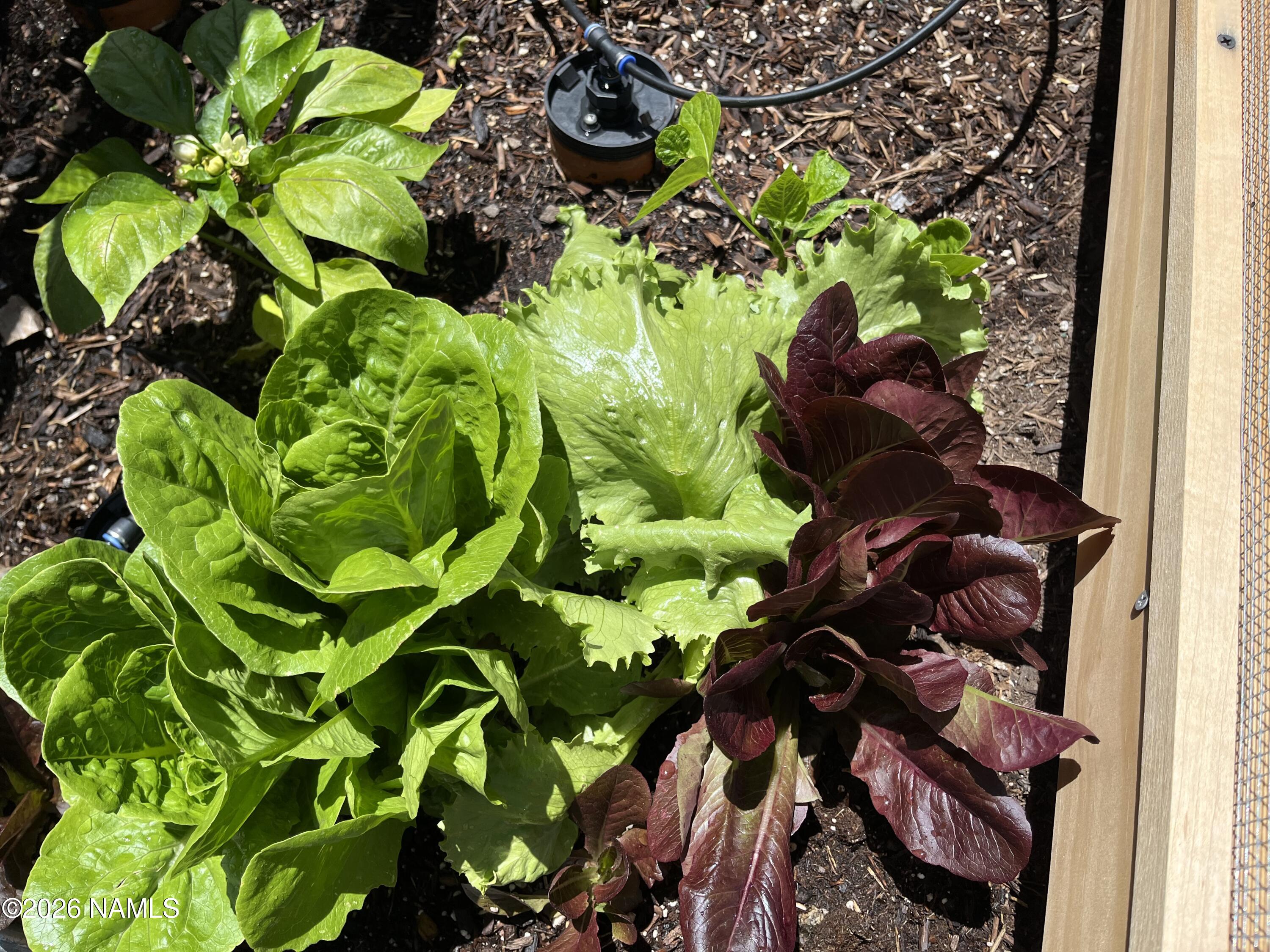 39291 Lake Mary Road Happy Jack, AZ 86024 - Photo 30 of 54 IMG_4106