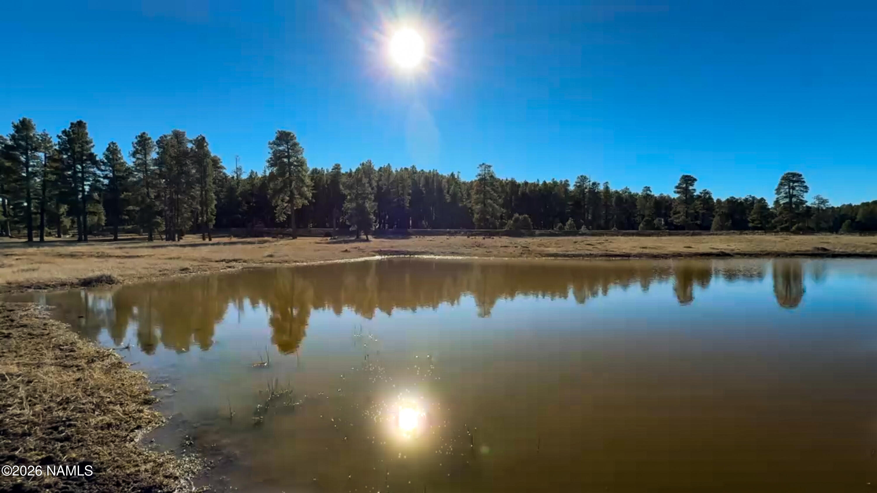 39291 Lake Mary Road Happy Jack, AZ 86024 - Photo 38 of 54 39291 Lake Mary Rd Pond-66