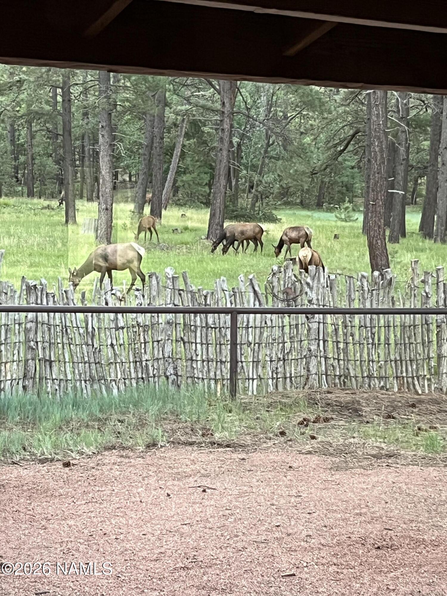39291 Lake Mary Road Happy Jack, AZ 86024 - Photo 39 of 54 IMG_3076