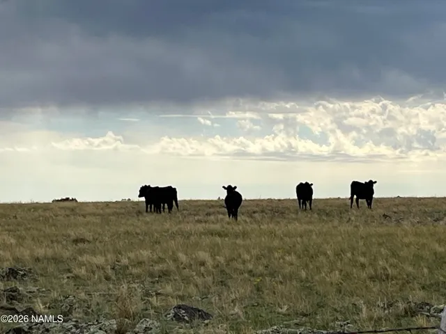 $1,450,000 | 39291 Lake Mary Road, Happy Jack, AZ 86024