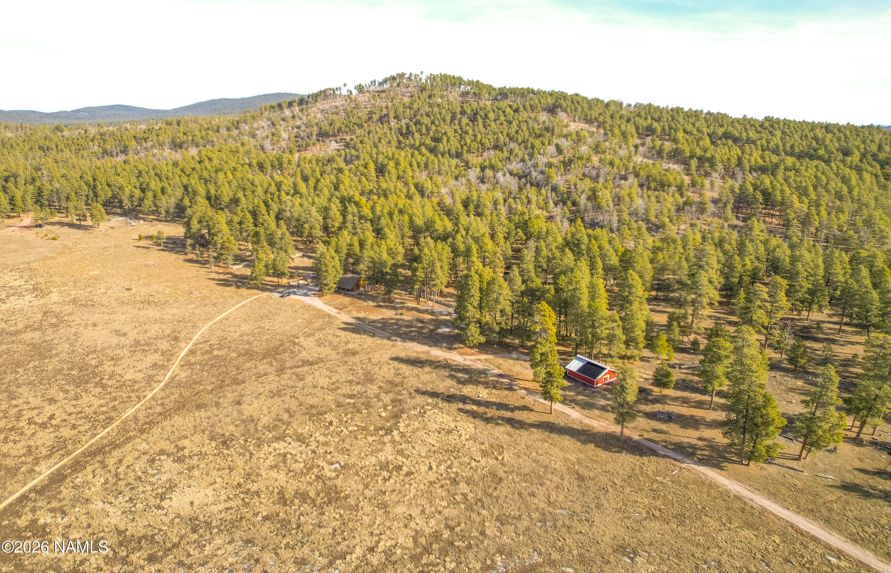 39291 Lake Mary Road Happy Jack, AZ 86024 - Photo 41 of 54 DJI_0028
