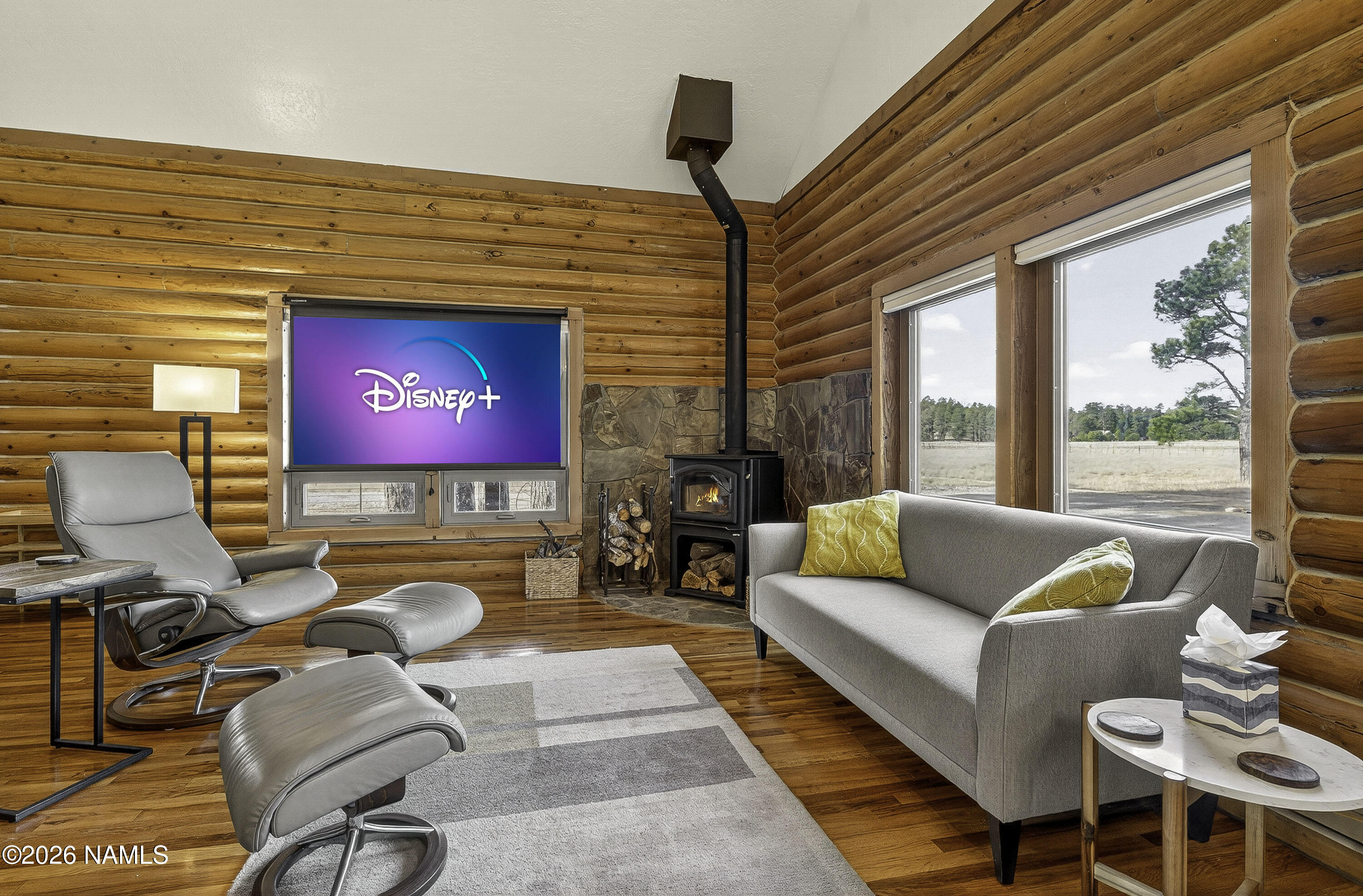39291 Lake Mary Road Happy Jack, AZ 86024 - Photo 5 of 54 05 Living Room with Projector Screen