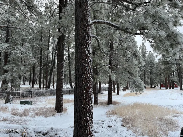 $1,450,000 | 39291 Lake Mary Road, Happy Jack, AZ 86024