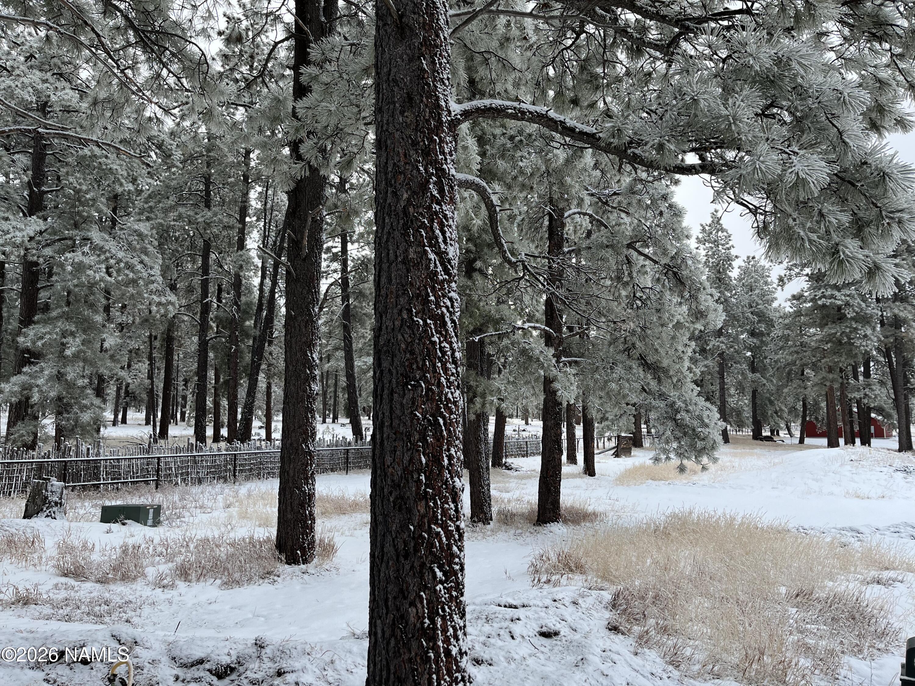 39291 Lake Mary Road Happy Jack, AZ 86024 - Photo 52 of 54 IMG_2760