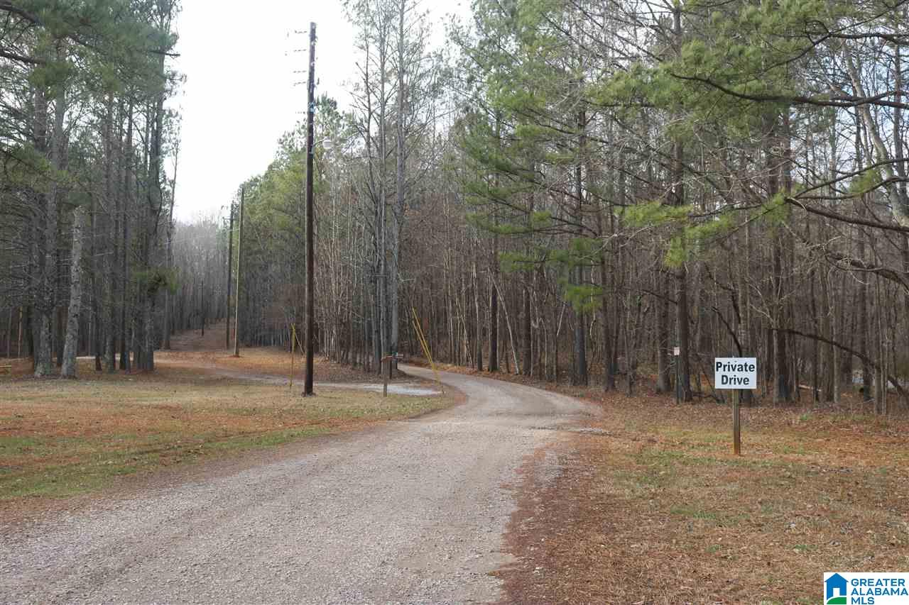 0 County Road 928, Unit 36 Delta, AL 36258 - Photo 6 of 20