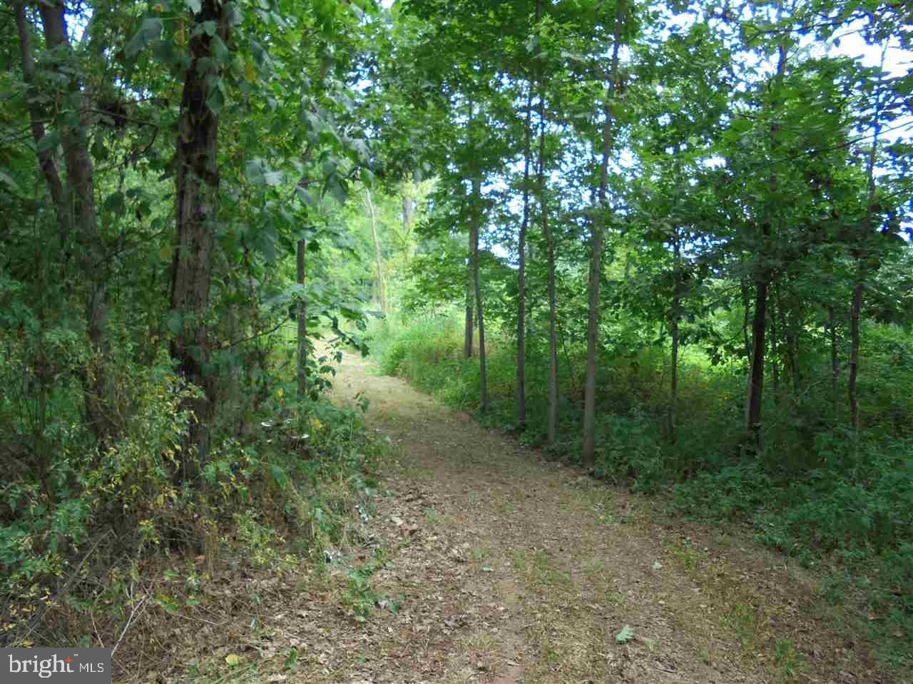 Lot Red Red Bridge Road Gettysburg, PA 17325 - Photo 1 of 2 Gallery Image 1
