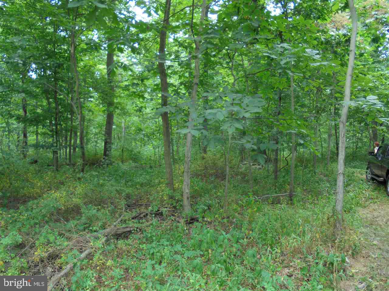 Lot Red Red Bridge Road Gettysburg, PA 17325 - Photo 2 of 2 Gallery Image 2