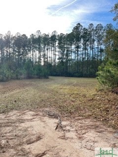 425 Josiah Morgan Road Clyo, GA 31303 - Photo 1 of 9 Gallery Image 1