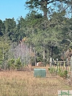 425 Josiah Morgan Road Clyo, GA 31303 - Photo 2 of 9 Gallery Image 2