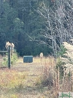 425 Josiah Morgan Road Clyo, GA 31303 - Photo 3 of 9 Gallery Image 3