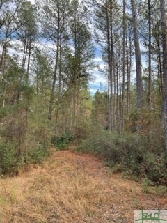 425 Josiah Morgan Road Clyo, GA 31303 - Photo 5 of 9 Gallery Image 5