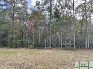 425 Josiah Morgan Road Clyo, GA 31303 - Photo 6 of 9 Gallery Image 6