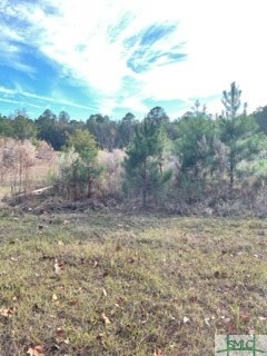 425 Josiah Morgan Road Clyo, GA 31303 - Photo 7 of 9 Gallery Image 7