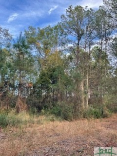 425 Josiah Morgan Road Clyo, GA 31303 - Photo 8 of 9 Gallery Image 8