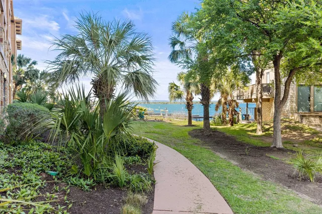 a view of a park with palm trees