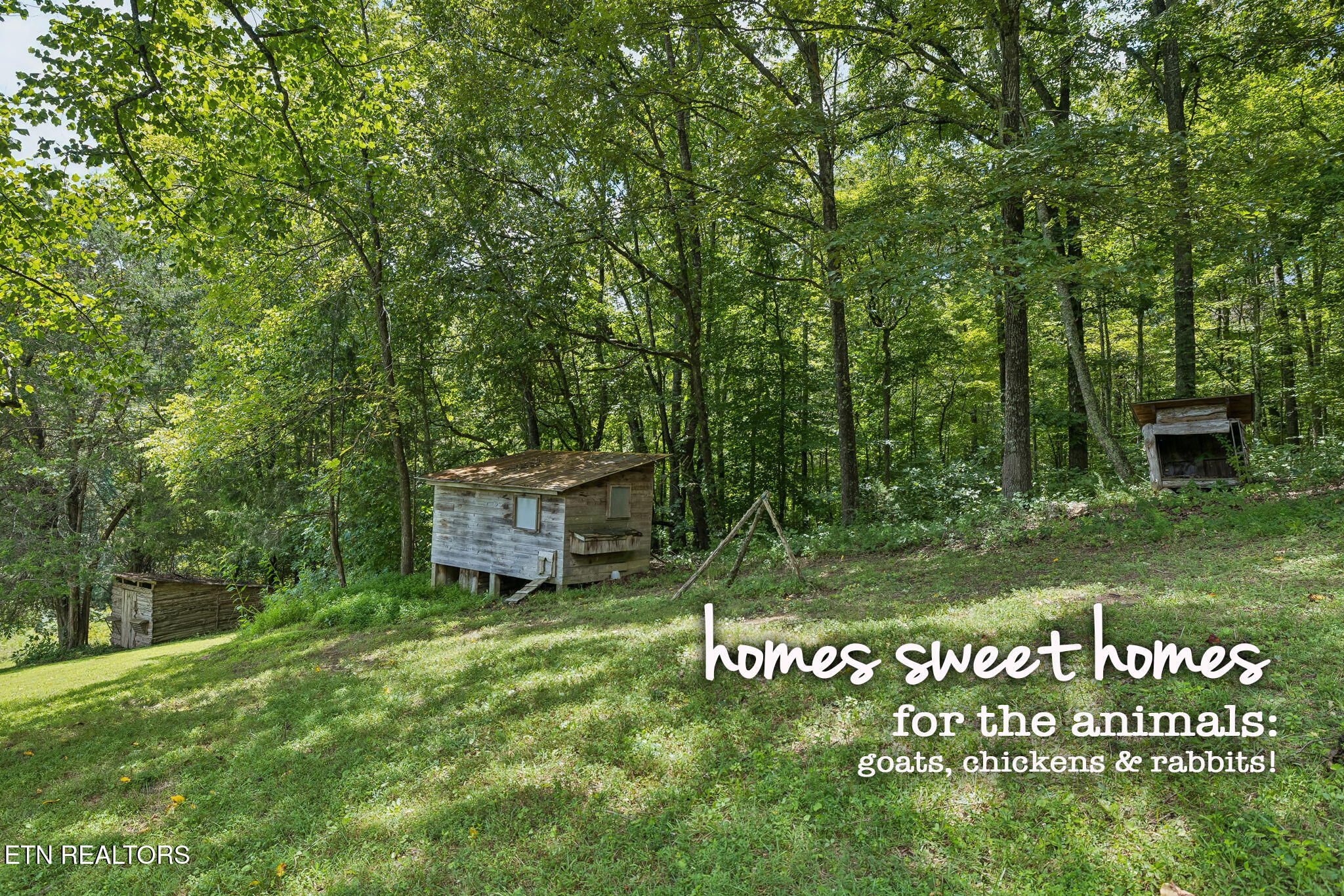 575 Russell Road Sharps Chapel, TN 37866 - Photo 35 of 60 575 Russell Rd Sharps Chapel Norris Lake