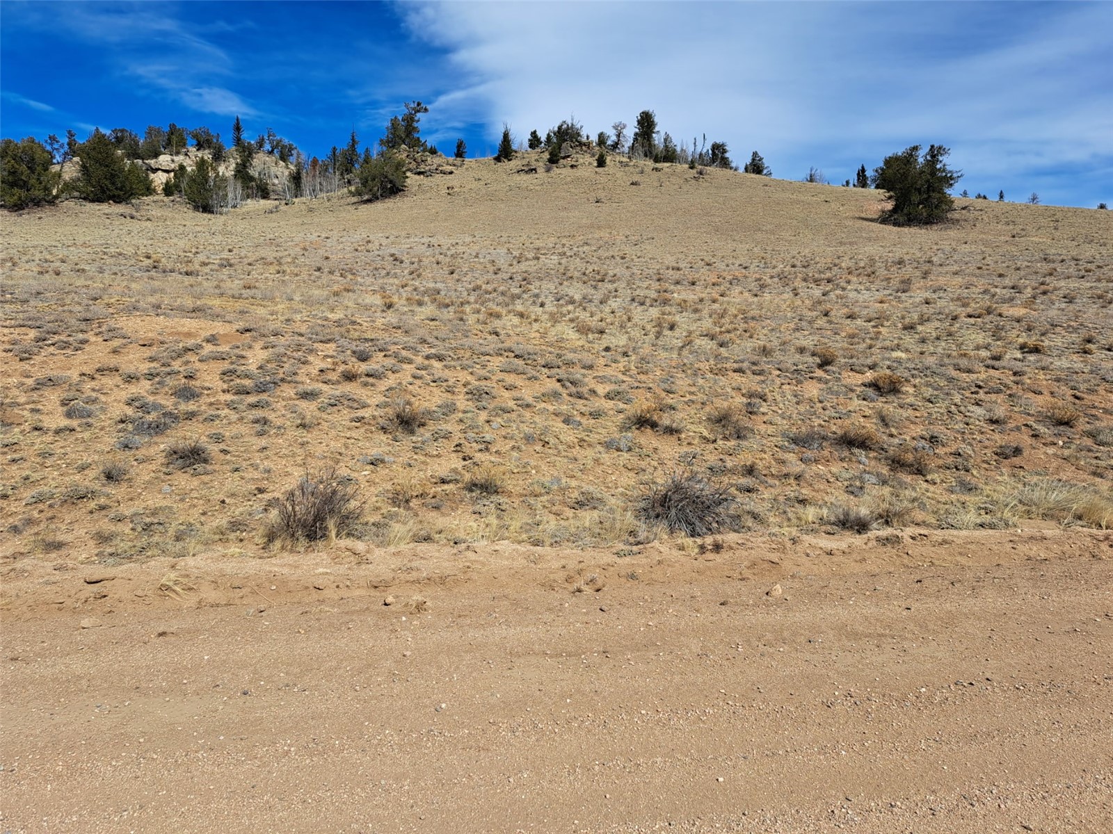 3646 Remington Road Como, CO 80456 - Photo 11 of 19