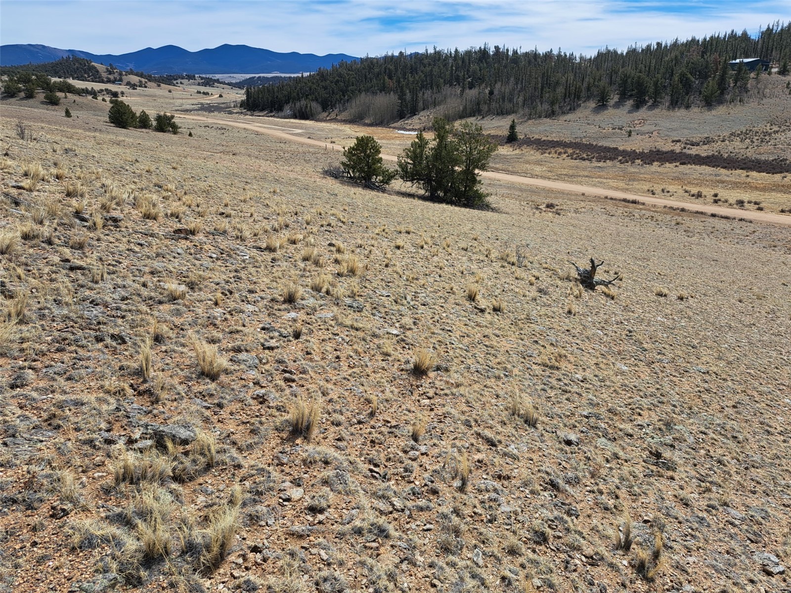 3646 Remington Road Como, CO 80456 - Photo 14 of 19