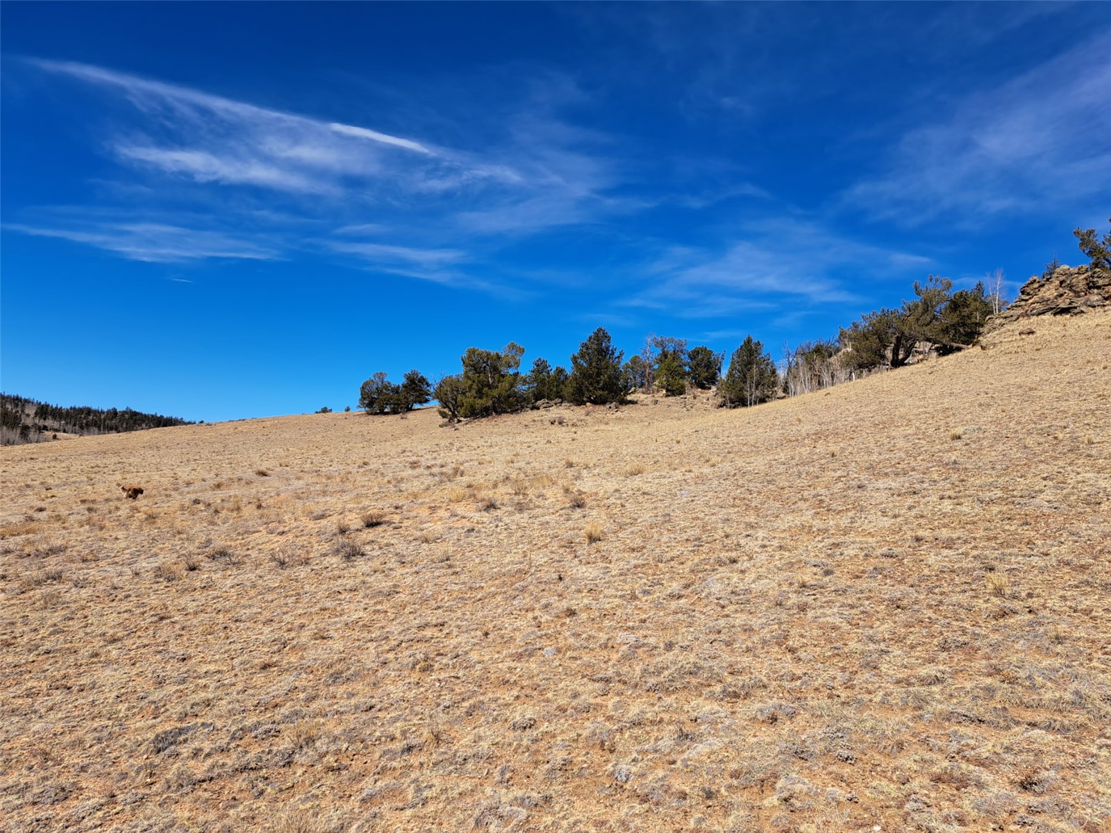 3646 Remington Road Como, CO 80456 - Photo 15 of 19